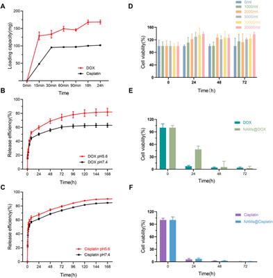 Multimodal imaging of nano-assembled microspheres loaded with doxorubicin and Cisplatin for liver tumor therapy